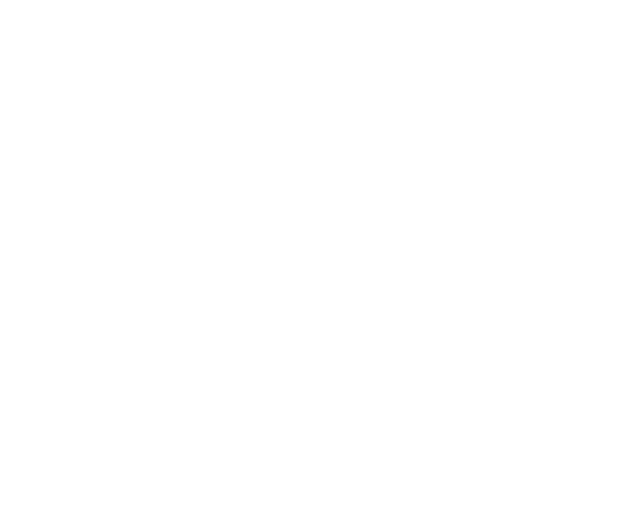 logo-w5-white